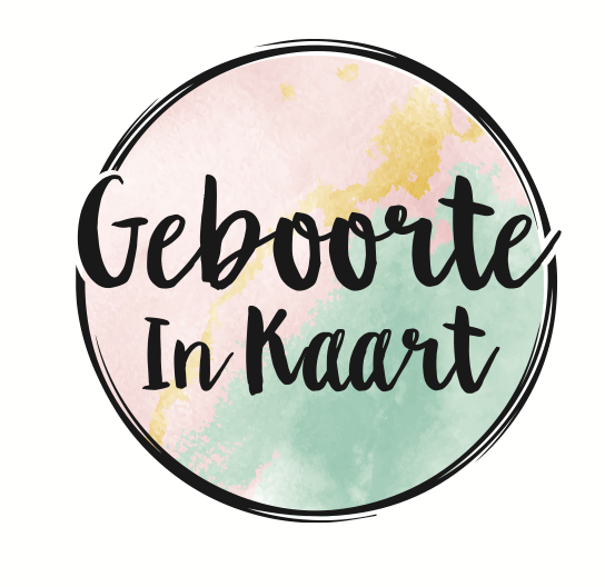 Geboorte in kaart geboortepatronen
